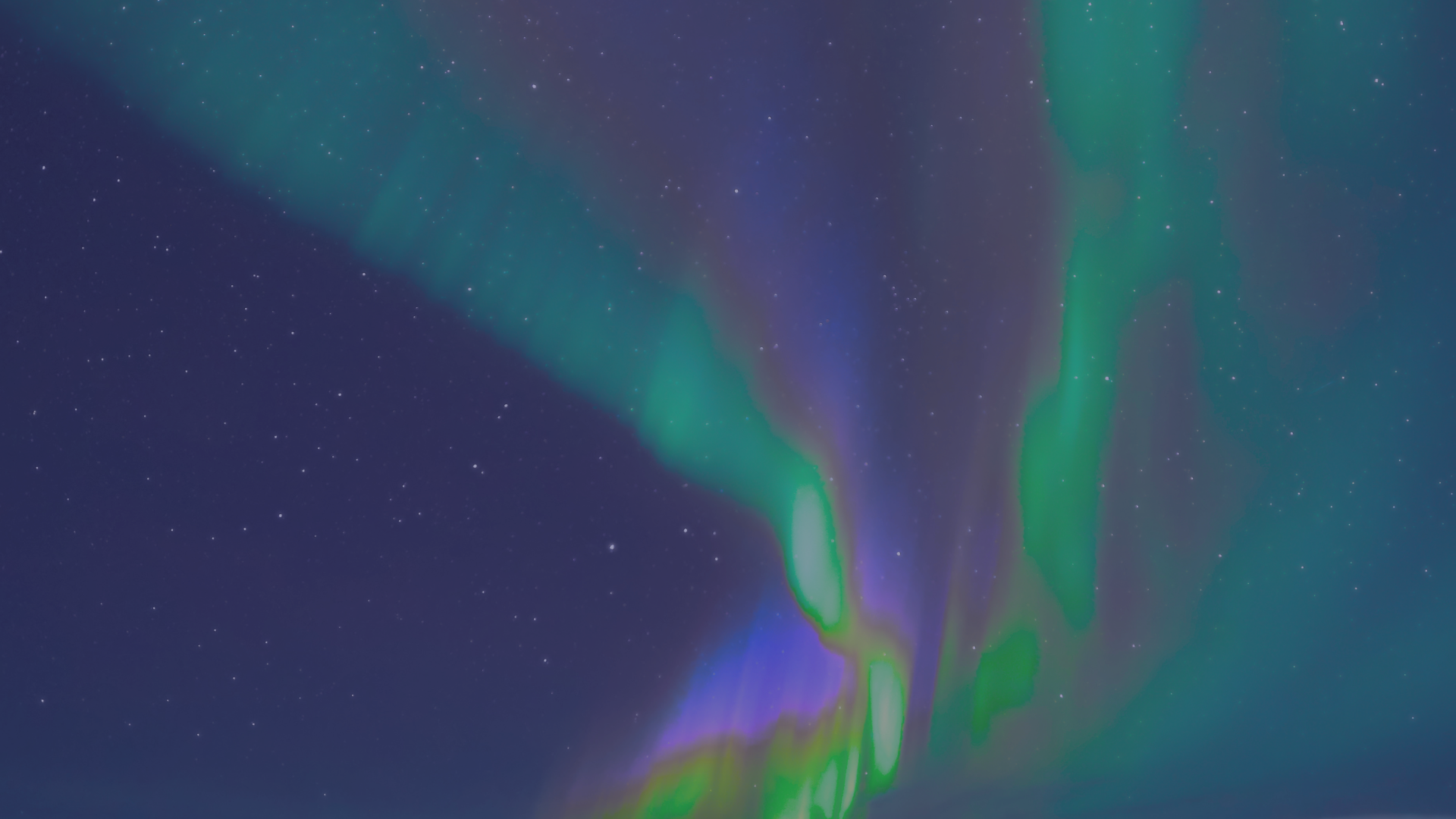 Purple_6 Purple_6